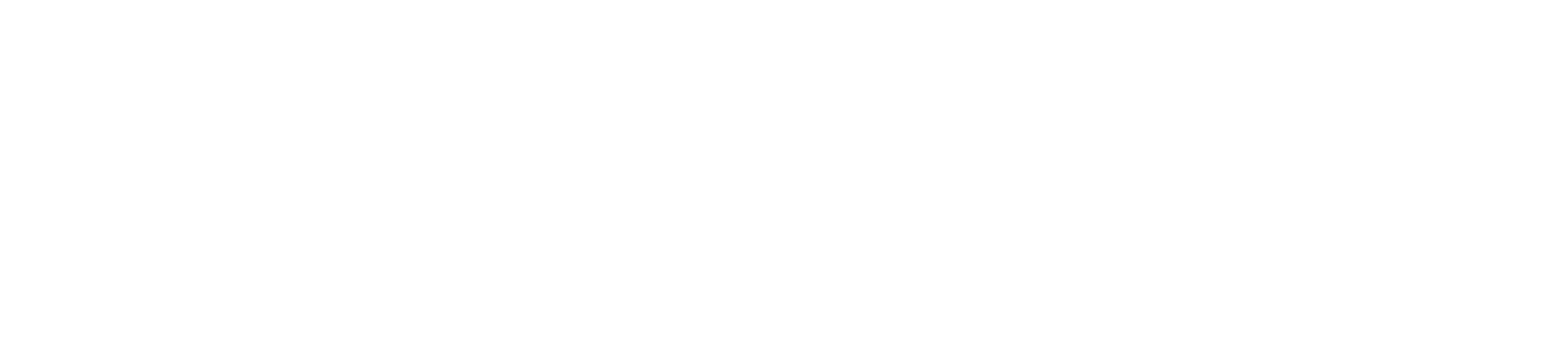 SkyEdge Logo
